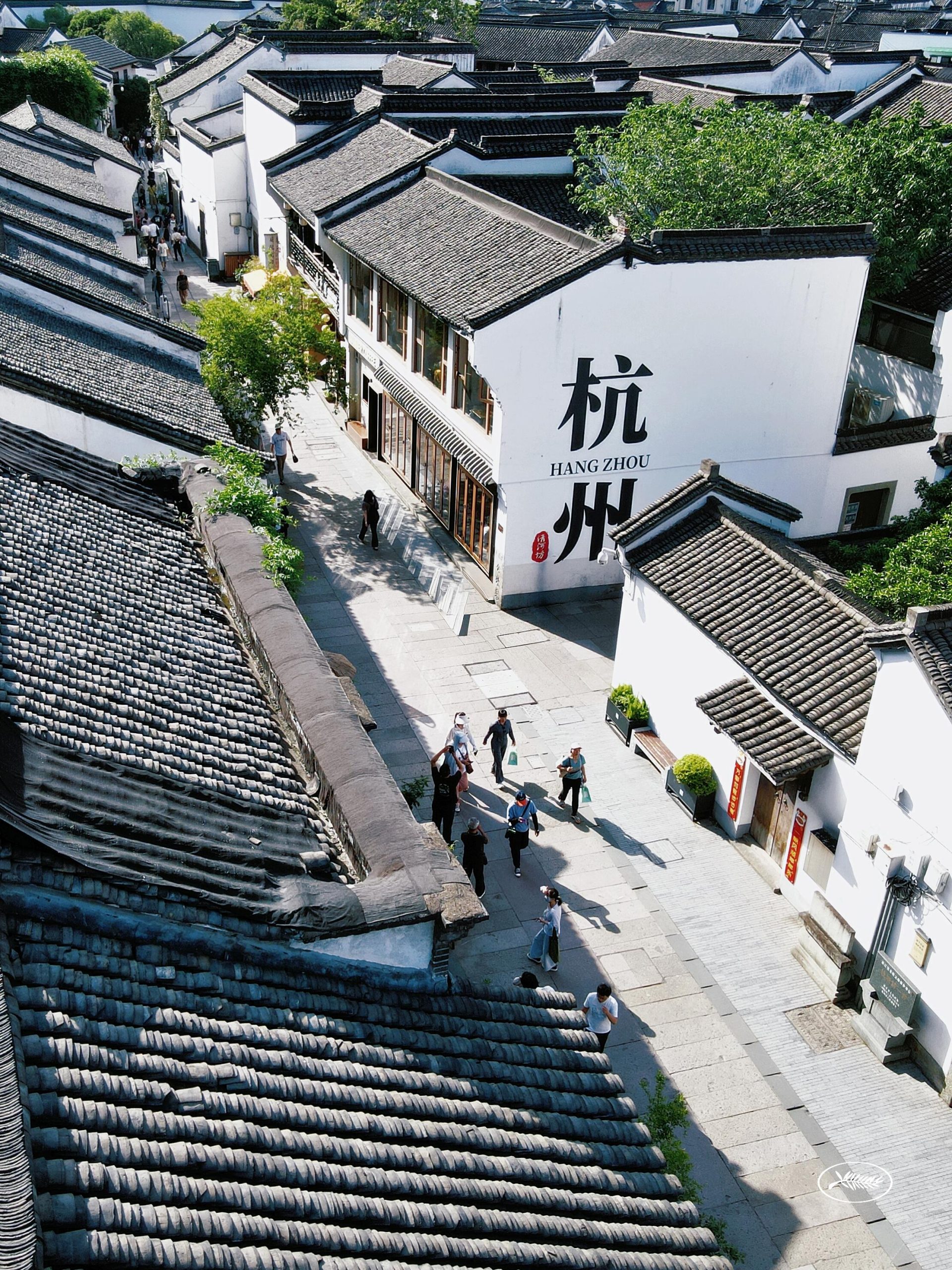 缩略图1
