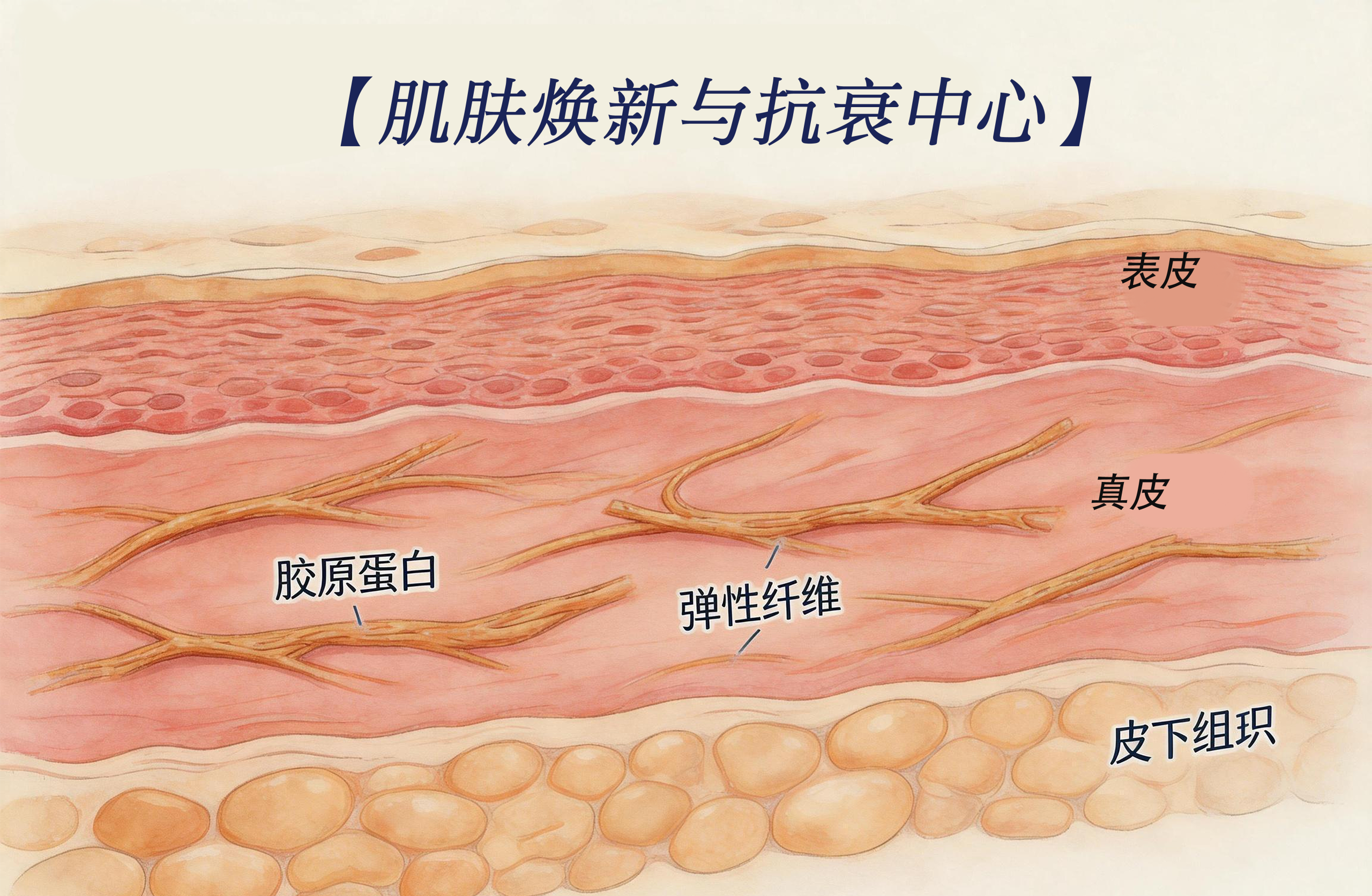 脊柱微创领导者