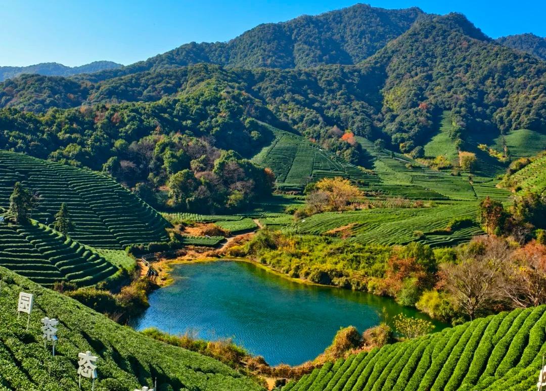 缩略图2