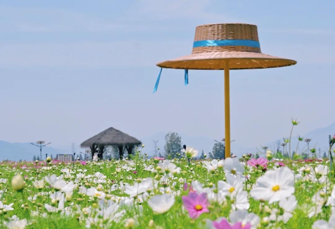 Floral Sanctuary . Wellness Escape