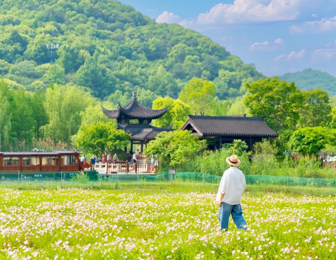 缩略图2